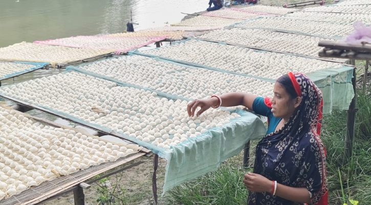 বগুড়ায় কুমড়ো বড়ি তৈরির ধুম, কয়েক কোটি টাকায় বিক্রির সম্ভাবনা  